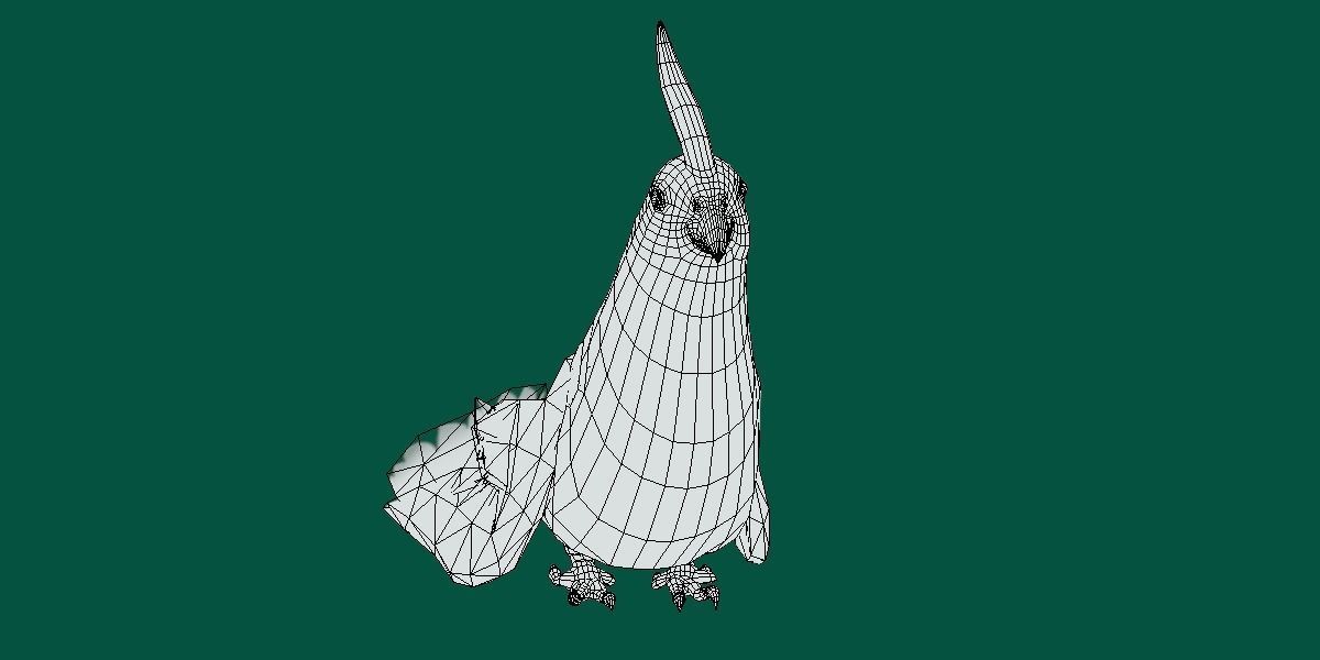 Cockatiel Parrot Bird 3D model_10