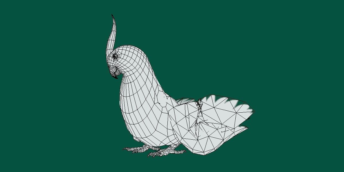 Cockatiel Parrot Bird 3D model_11