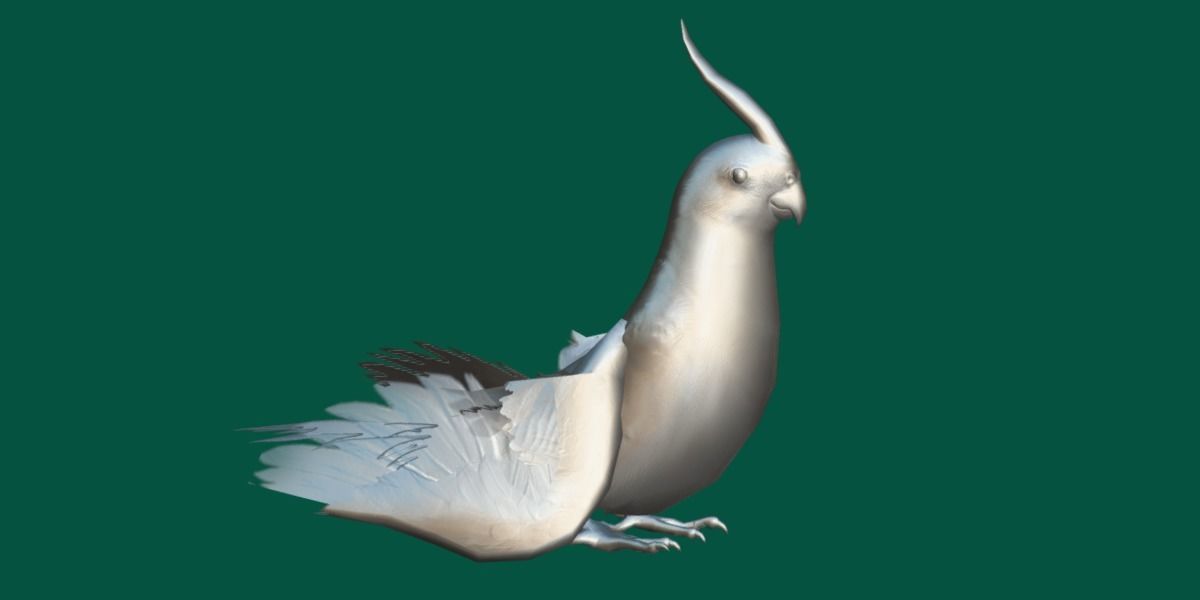 Cockatiel Parrot Bird 3D model_9