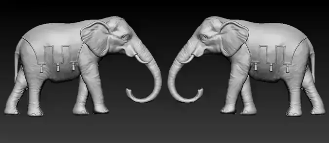 Elephant