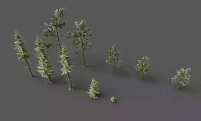 PINE TREE PACK Low-poly 3D model