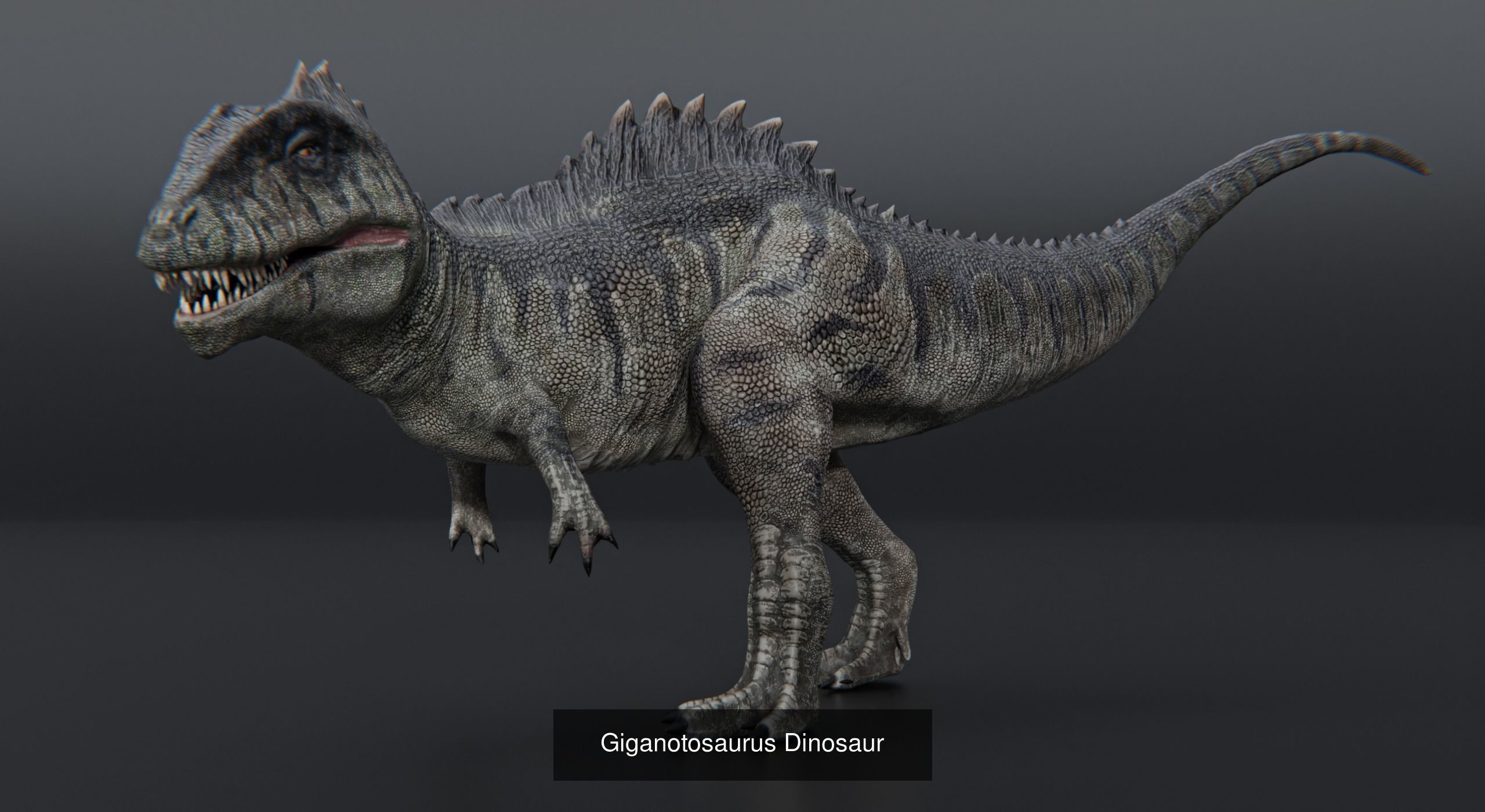 Monster Theropod Dinosaur 3D Model Collection_13