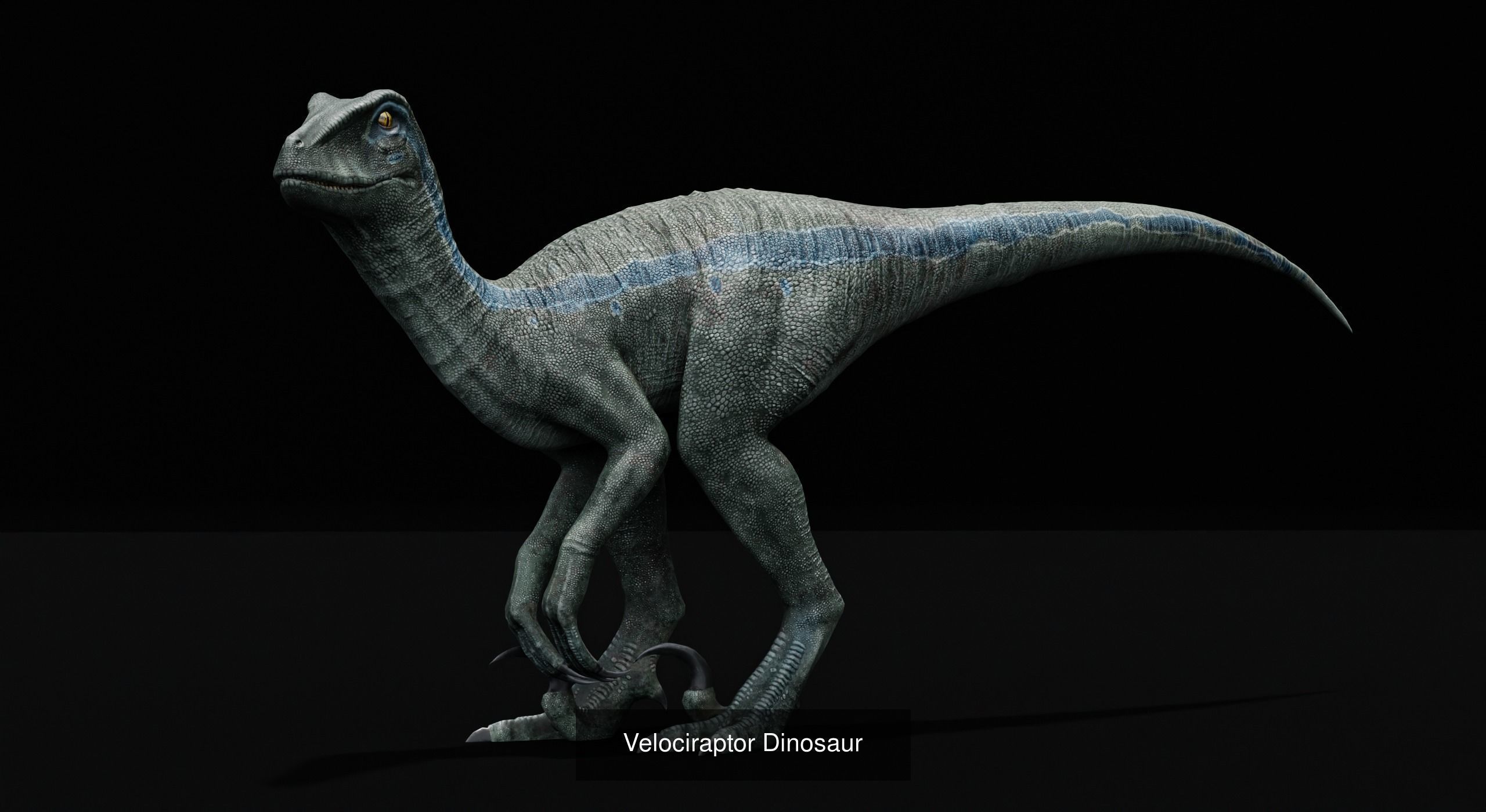 Monster Theropod Dinosaur 3D Model Collection_12