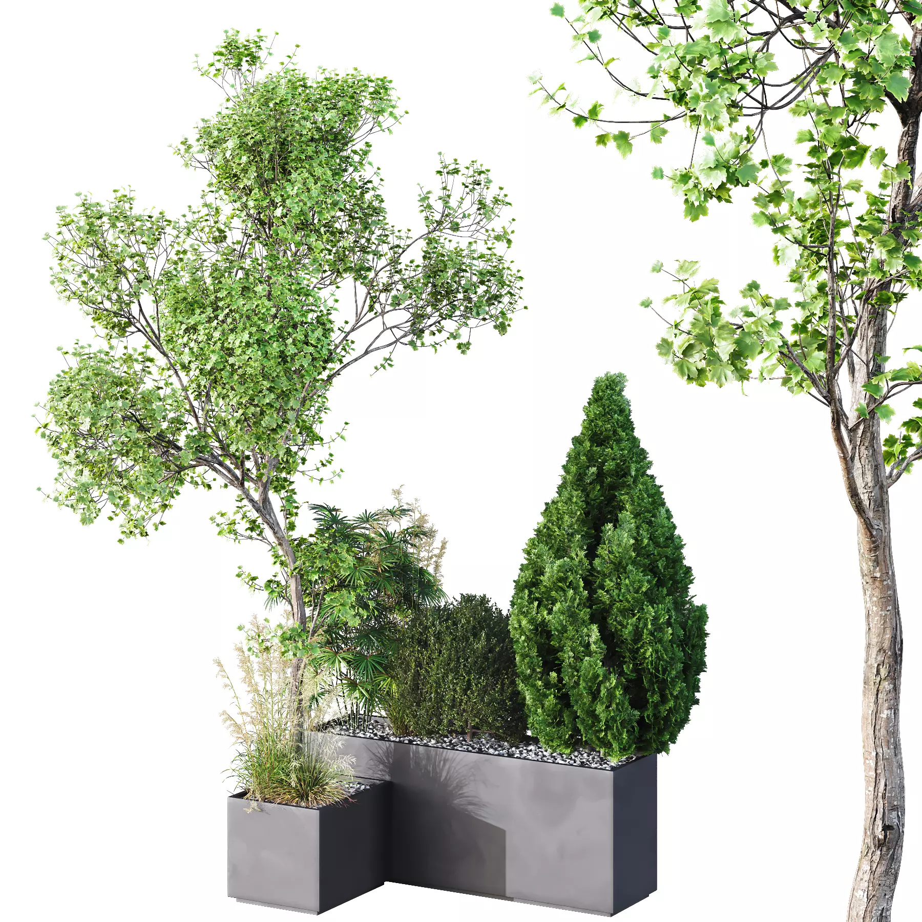HQ Tree and bush garden box outdoor VOL 05 3D model_0