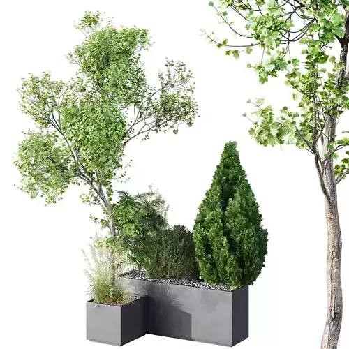 HQ Tree and bush garden box outdoor VOL 05