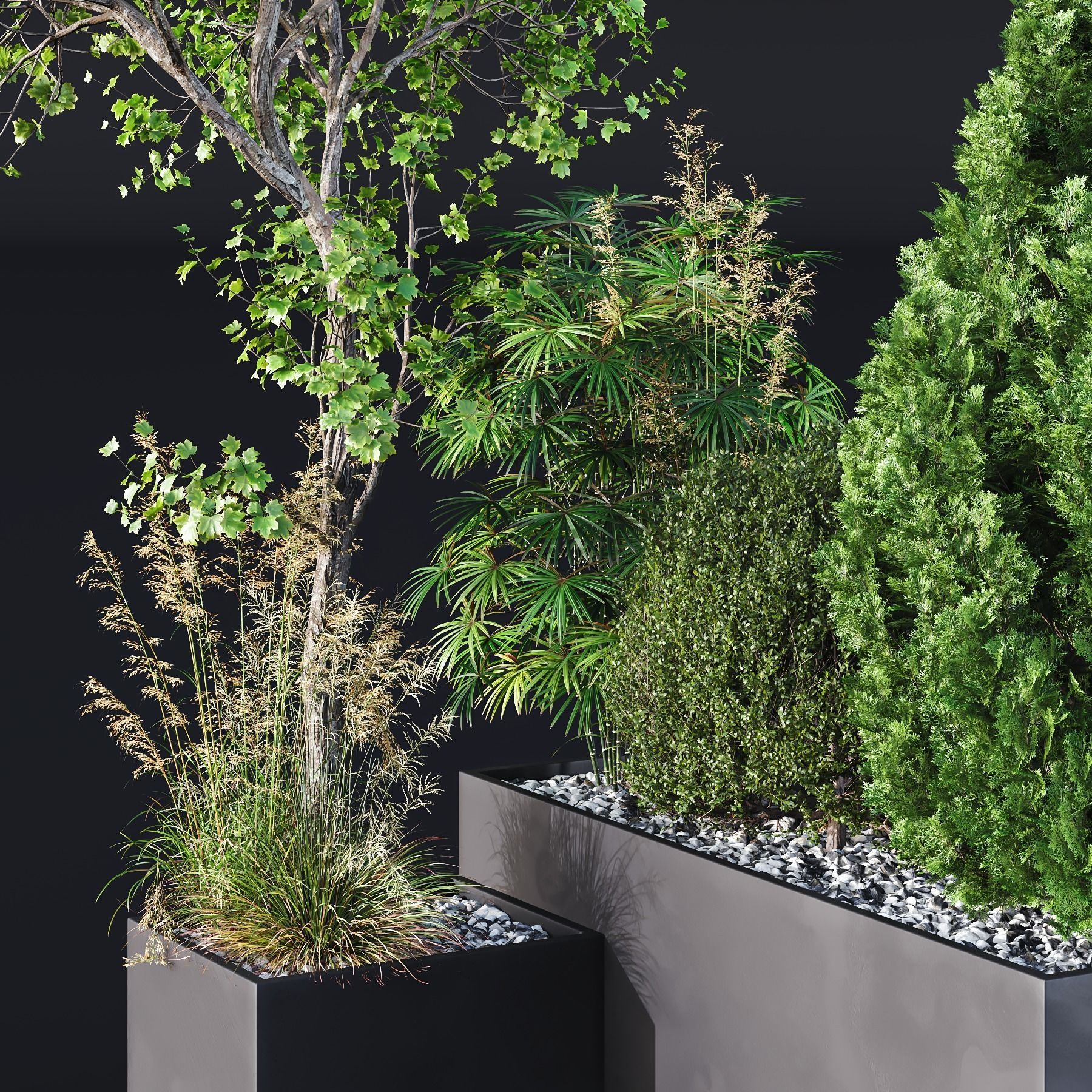 HQ Tree and bush garden box outdoor VOL 05 3D model_1