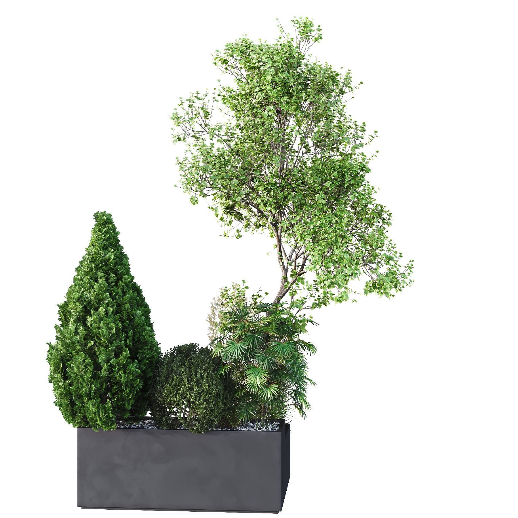 HQ Tree and bush garden box outdoor VOL 05 3D model_2