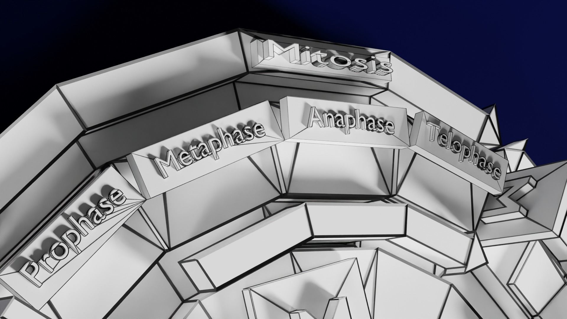 Cell Cycle phases stages and check points 3d print model 3D print model_70
