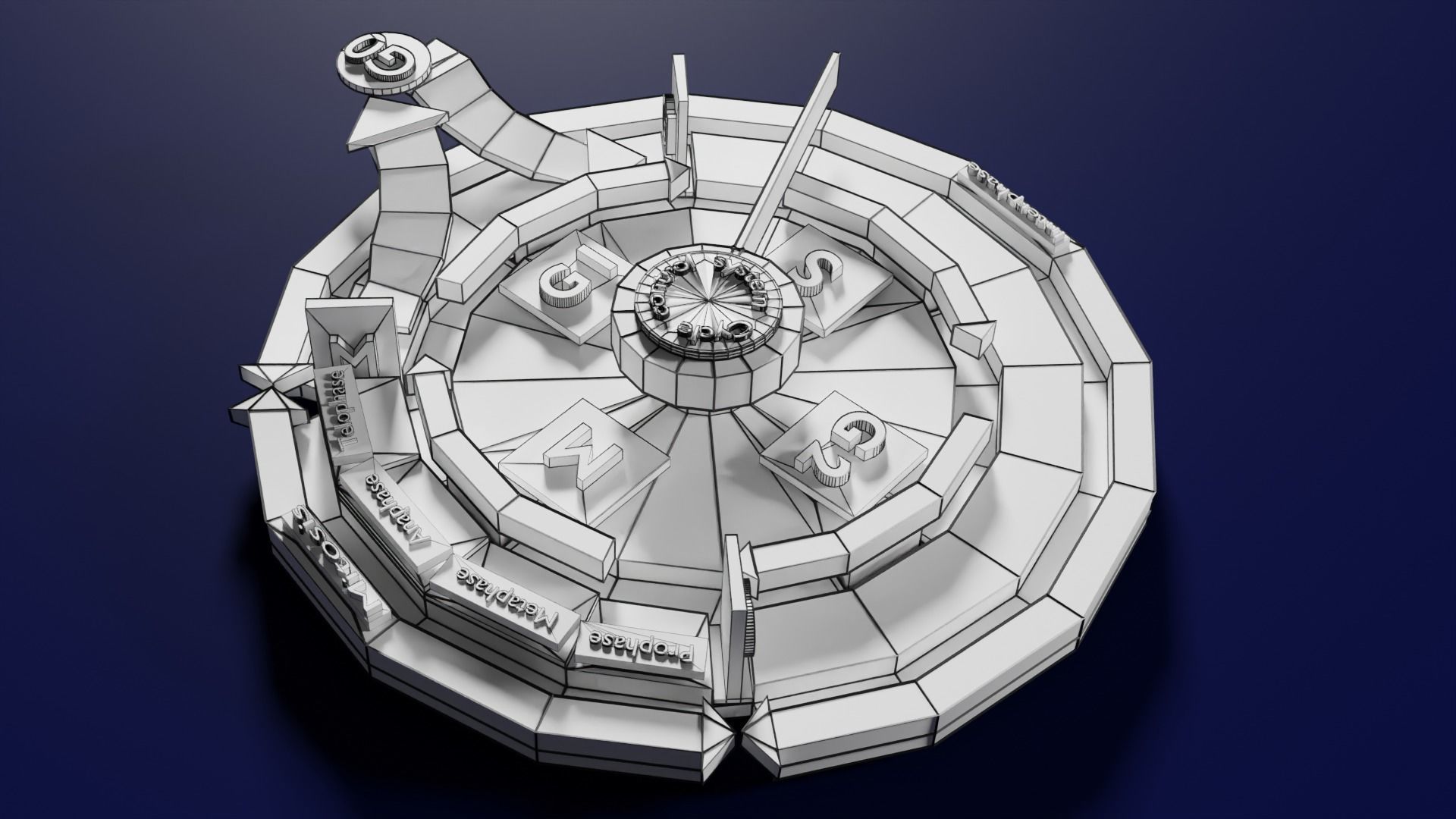 Cell Cycle phases stages and check points 3d print model 3D print model_79