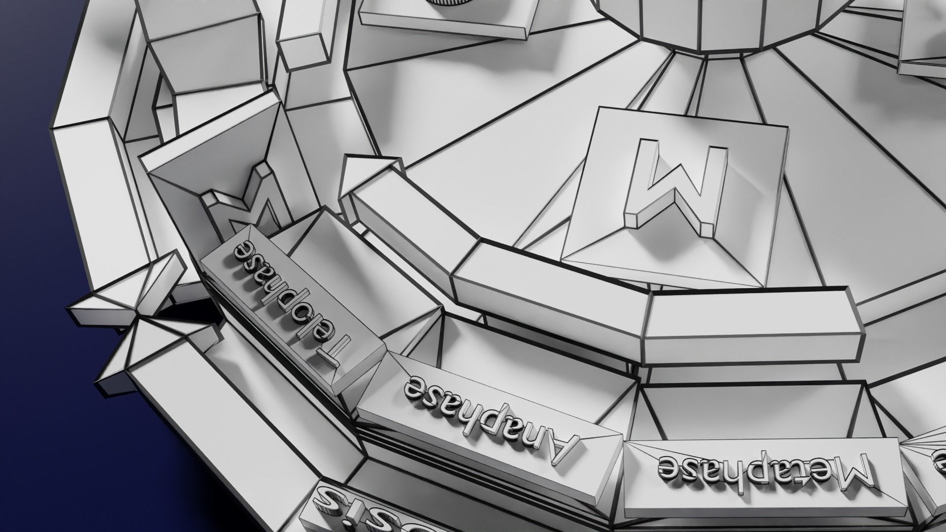 Cell Cycle phases stages and check points 3d print model 3D print model_73
