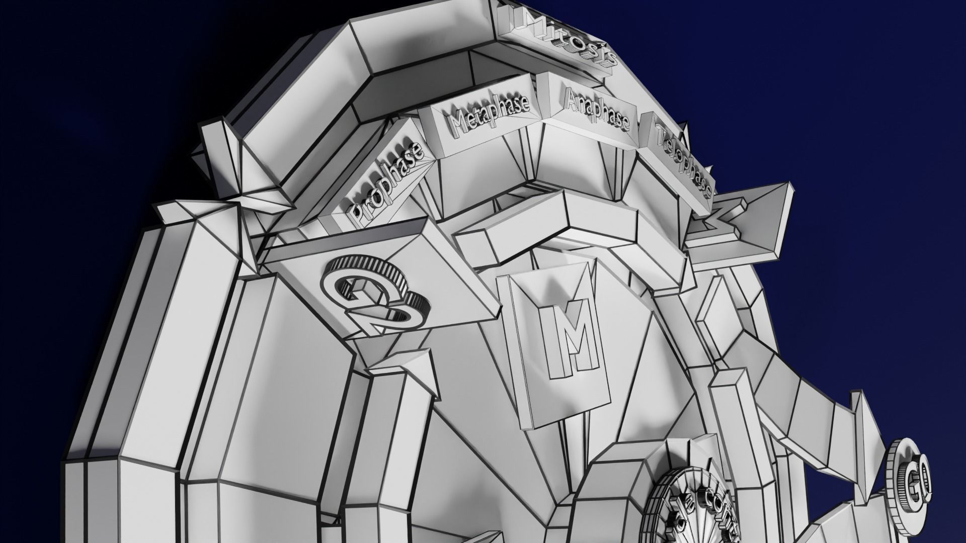 Cell Cycle phases stages and check points 3d print model 3D print model_72