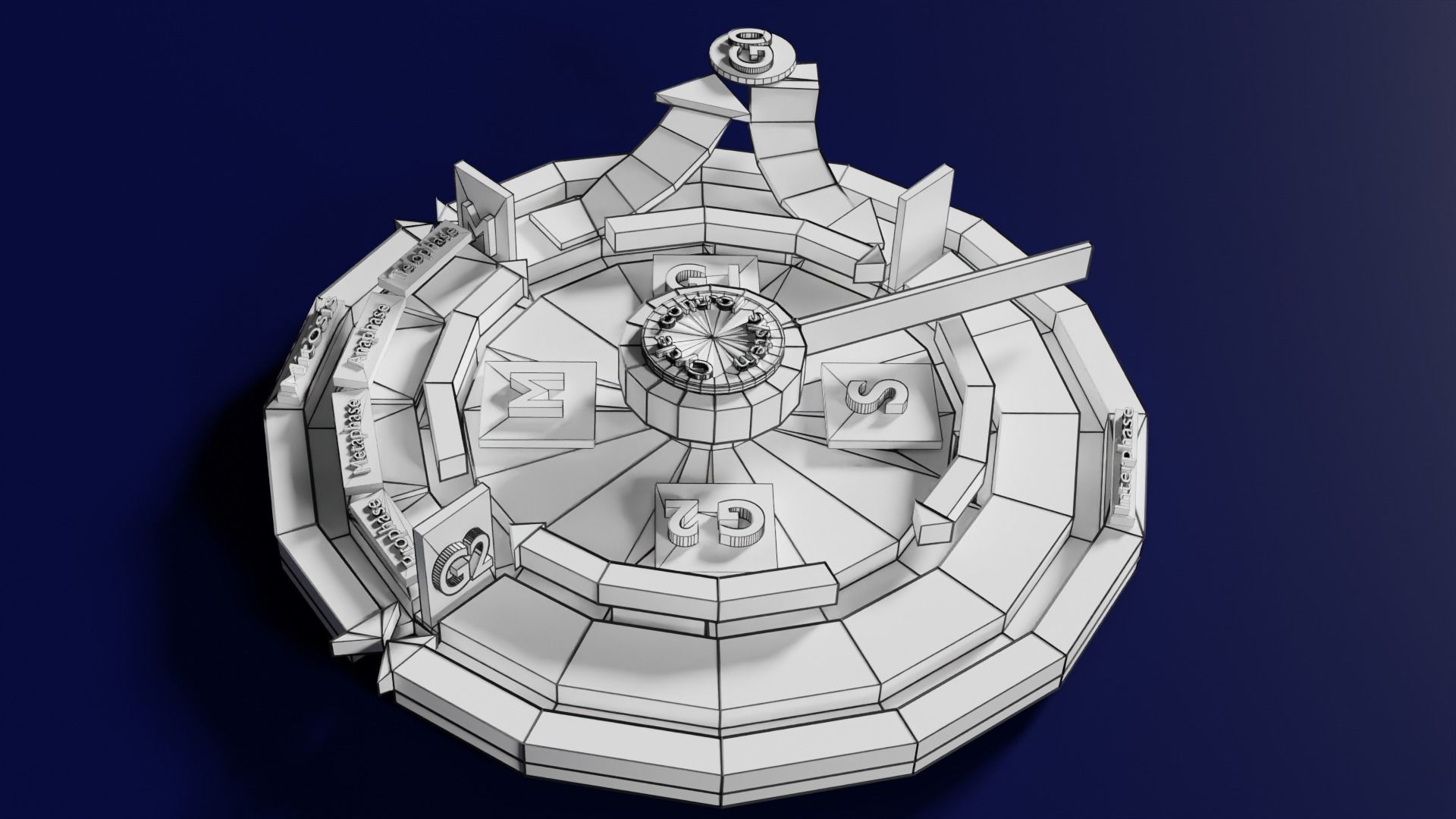 Cell Cycle phases stages and check points 3d print model 3D print model_66