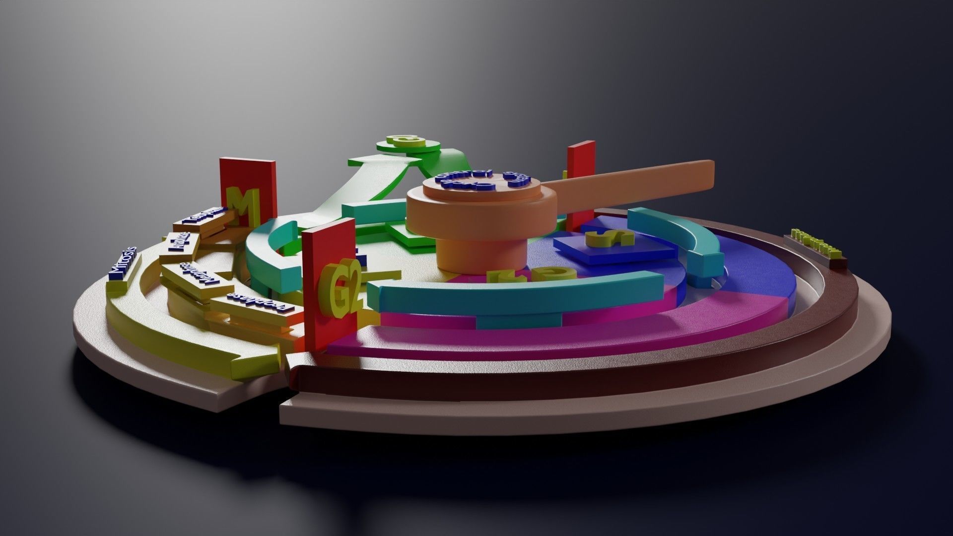 Cell Cycle phases stages and check points 3d print model 3D print model_32