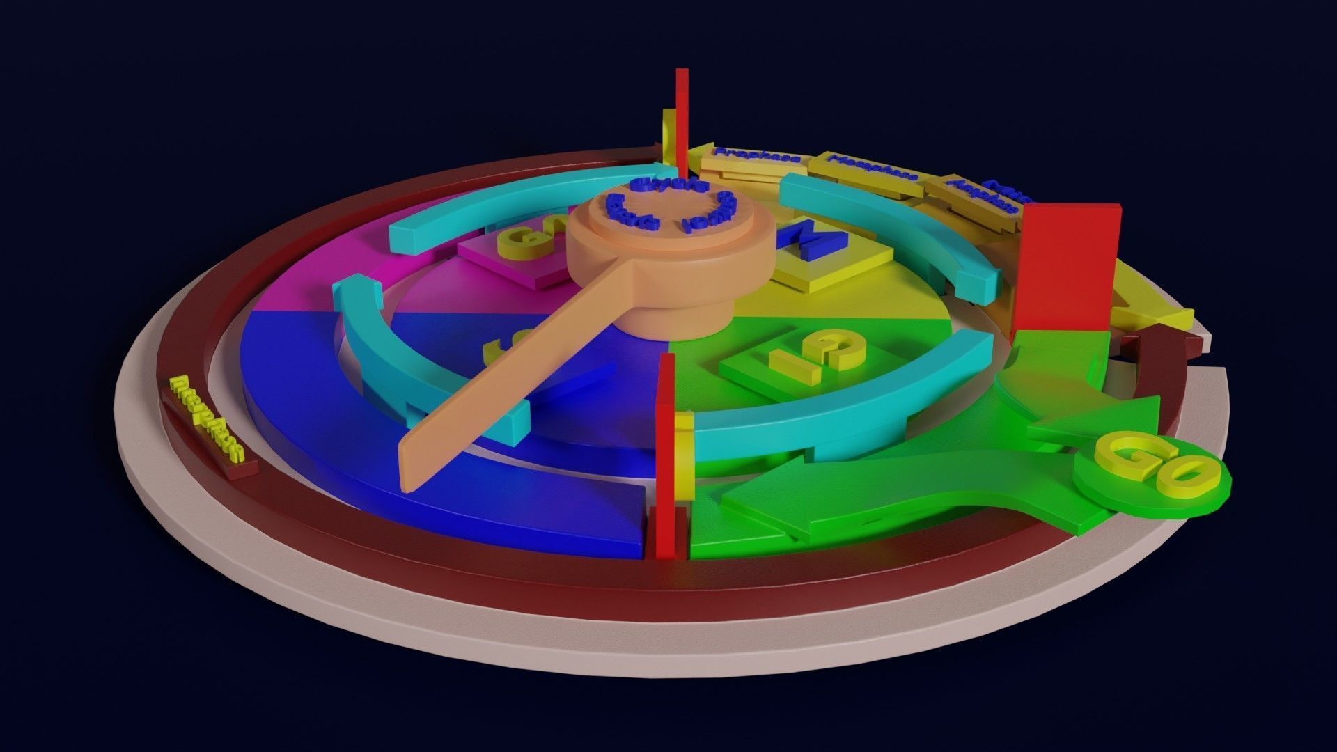 Cell Cycle phases stages and check points 3d print model 3D print model_2