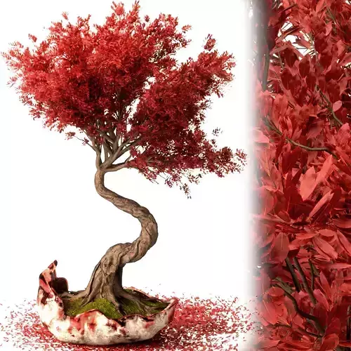 Bonsai Flower Set -10