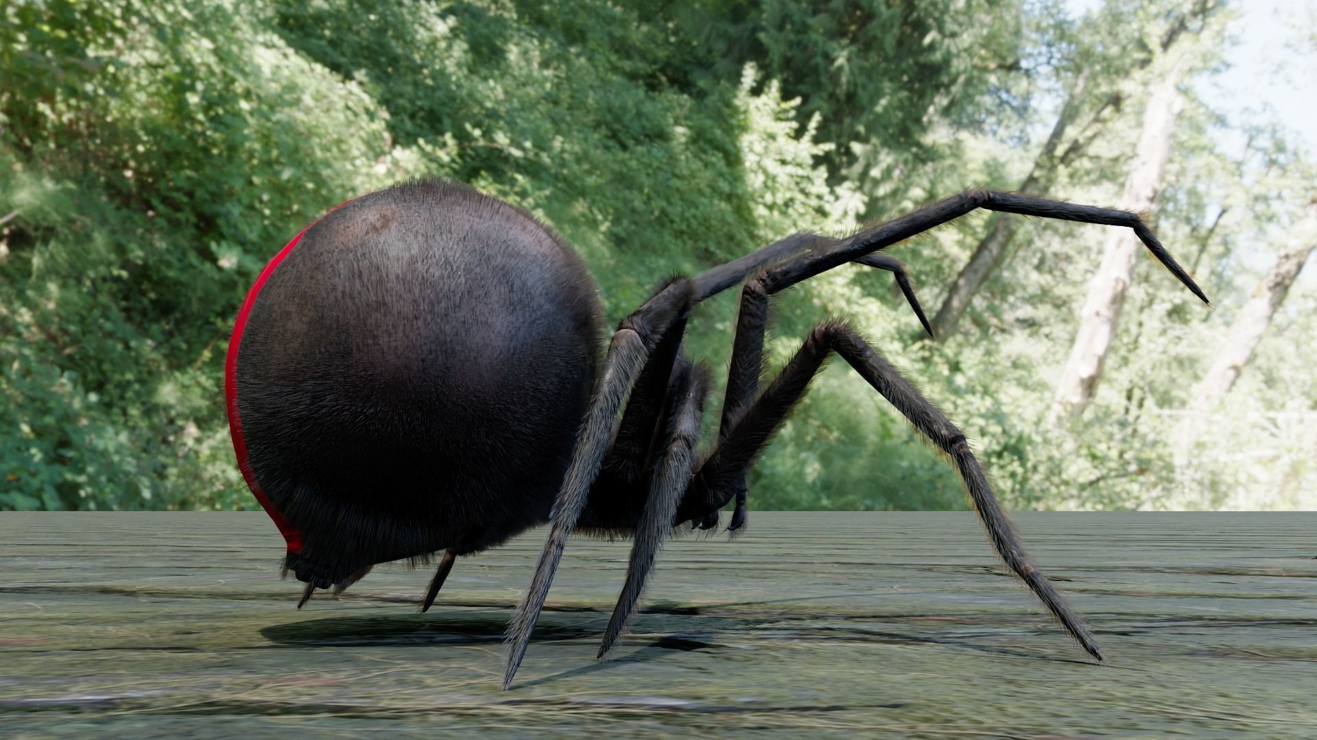 Spider Black Widow Low-poly 3D model_5
