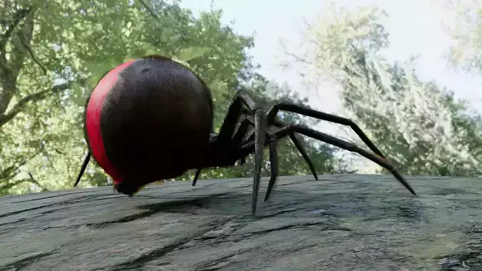Spider Black Widow Low-poly 3D model