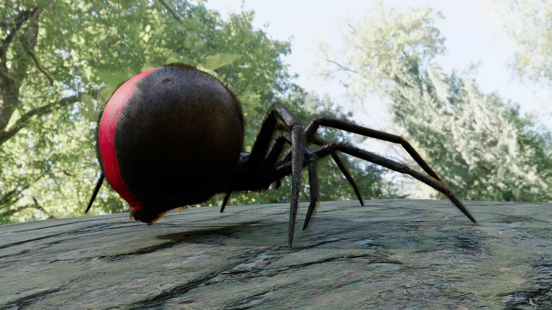 Spider Black Widow Low-poly 3D model_0