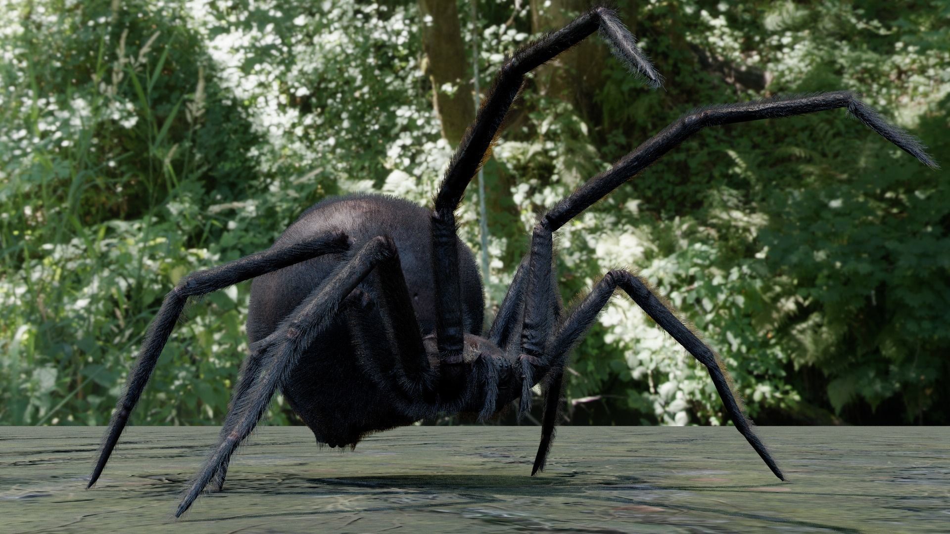 Spider Black Widow Low-poly 3D model_3