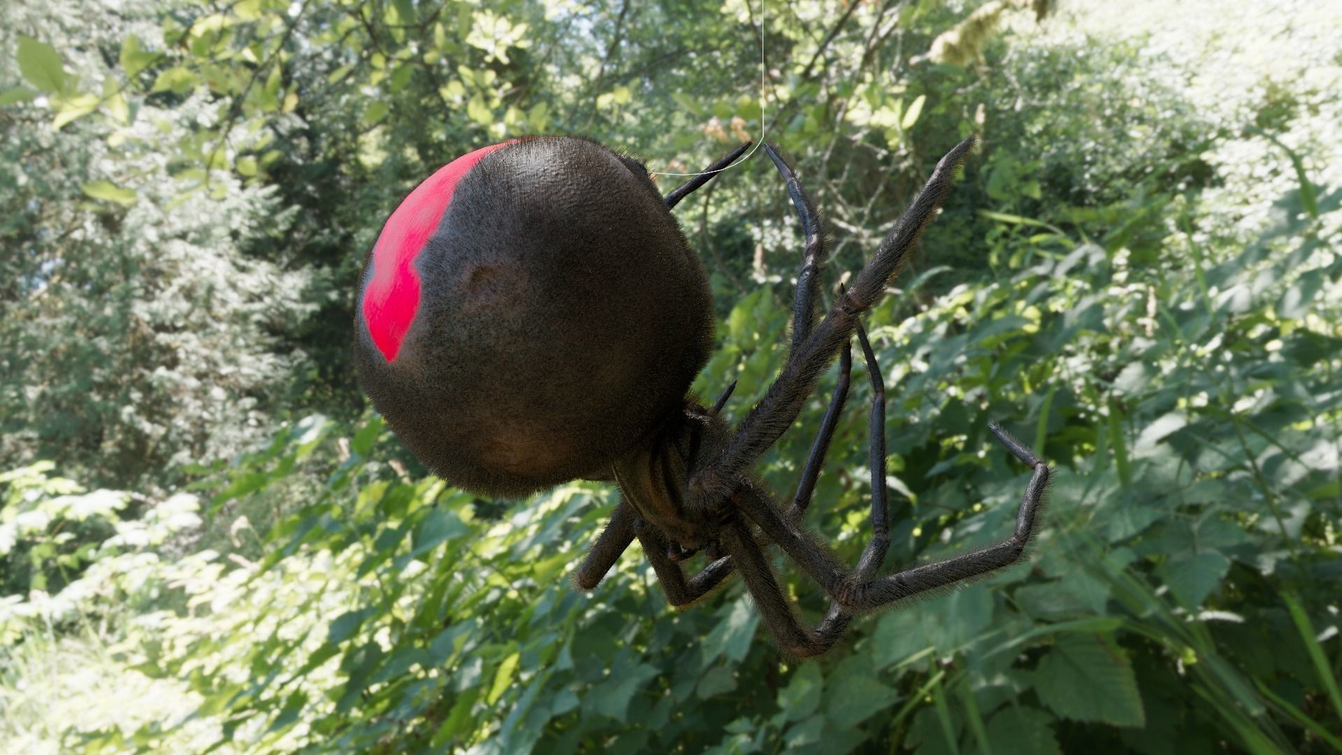 Spider Black Widow Low-poly 3D model_7