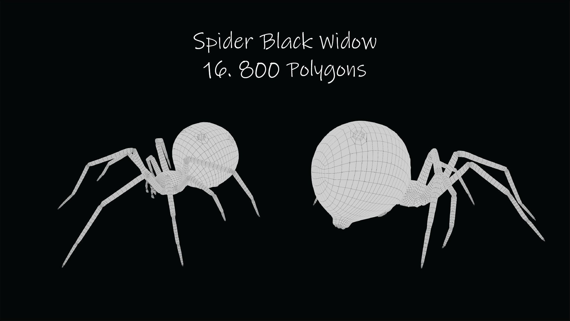 Spider Black Widow Low-poly 3D model_8