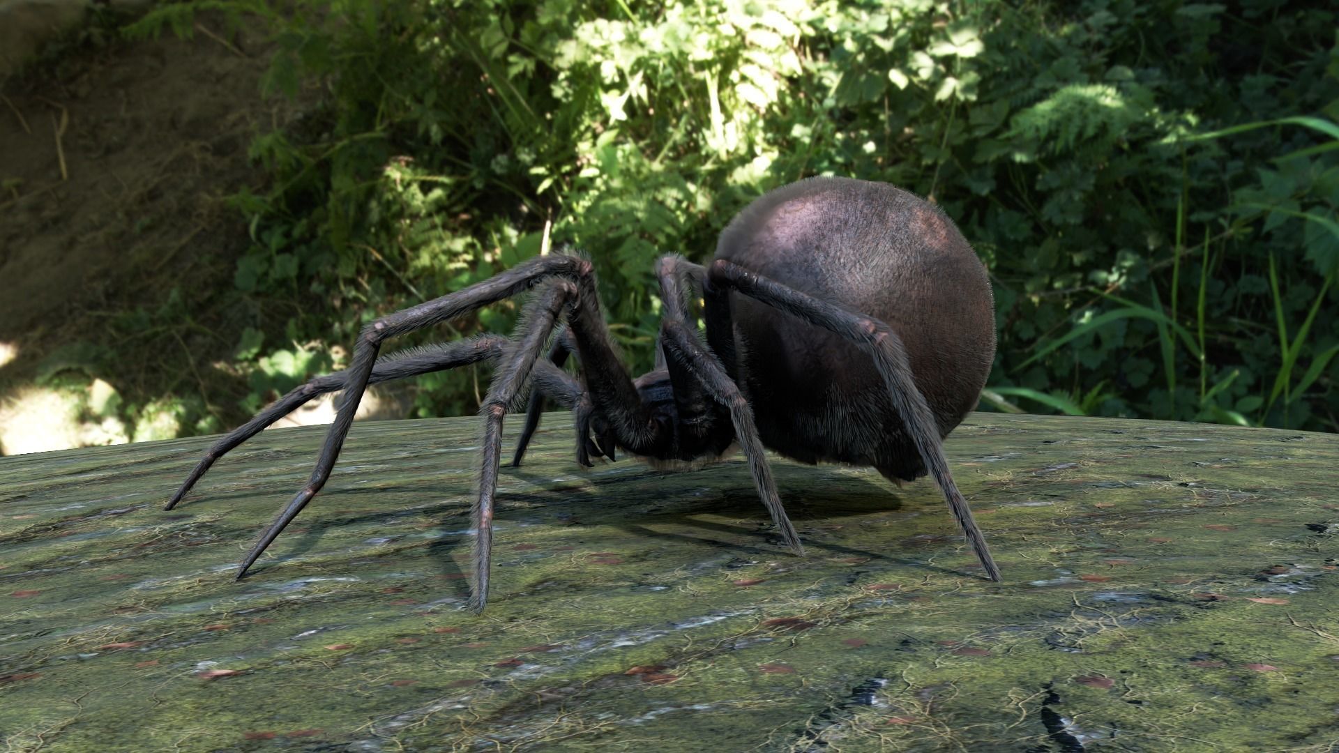 Spider Black Widow Low-poly 3D model_4