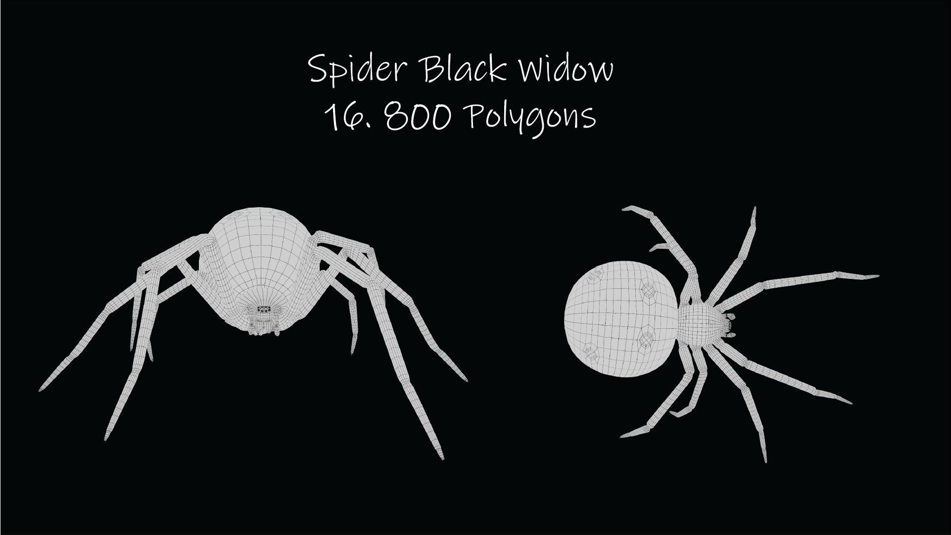Spider Black Widow Low-poly 3D model_9