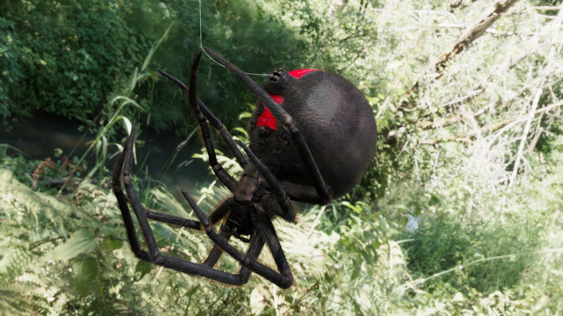 Spider Black Widow Low-poly 3D model_6
