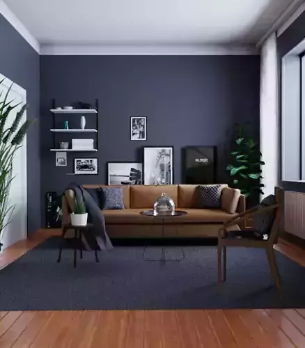 Living Room Sofa