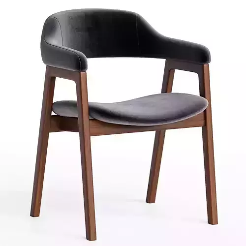 Dining  Arm Chair