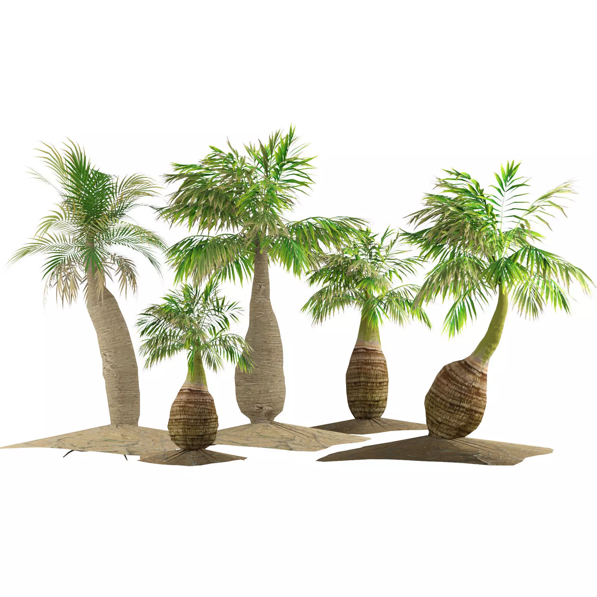 bottle palm trees 3d model Low-poly 3D model_0