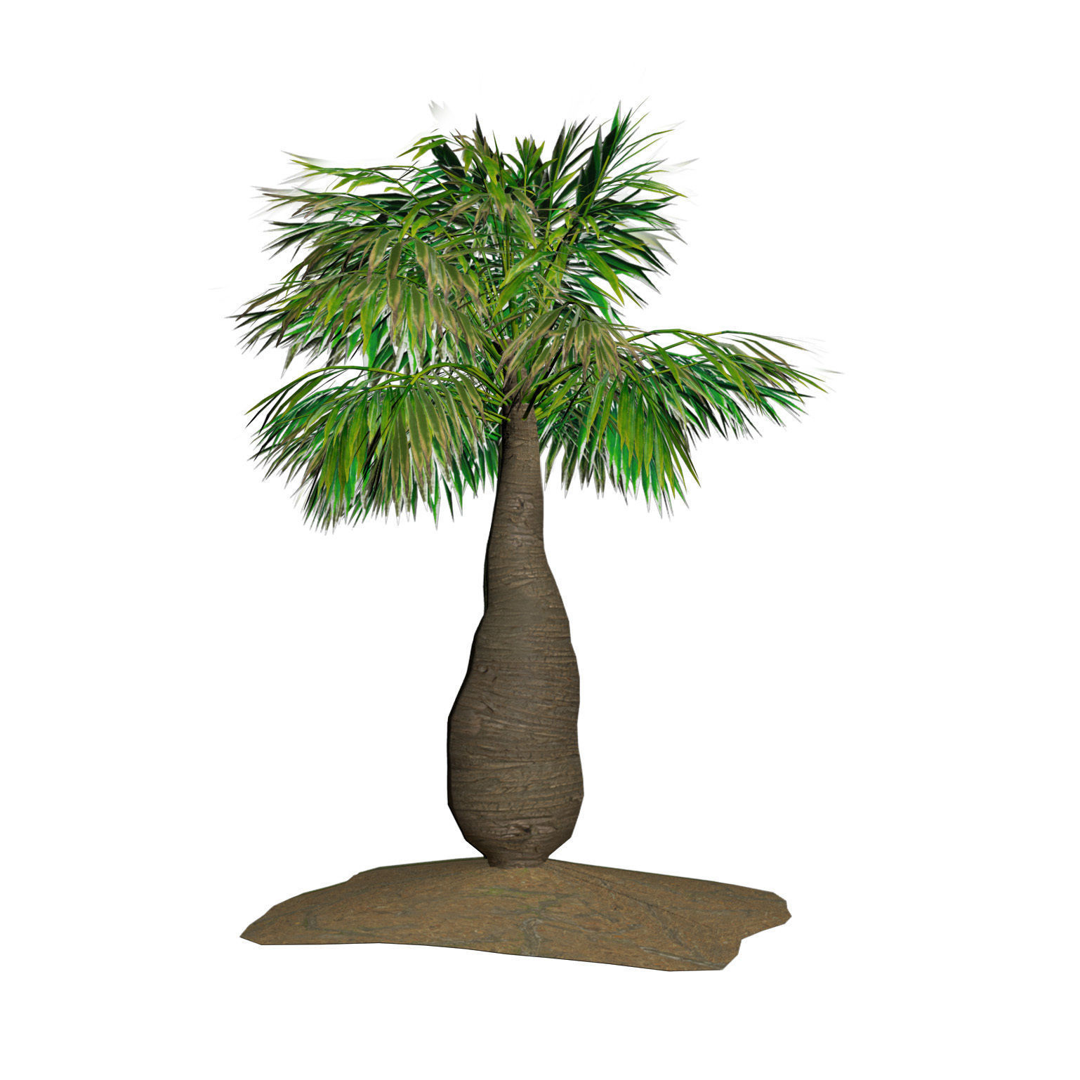 bottle palm trees 3d model Low-poly 3D model_5
