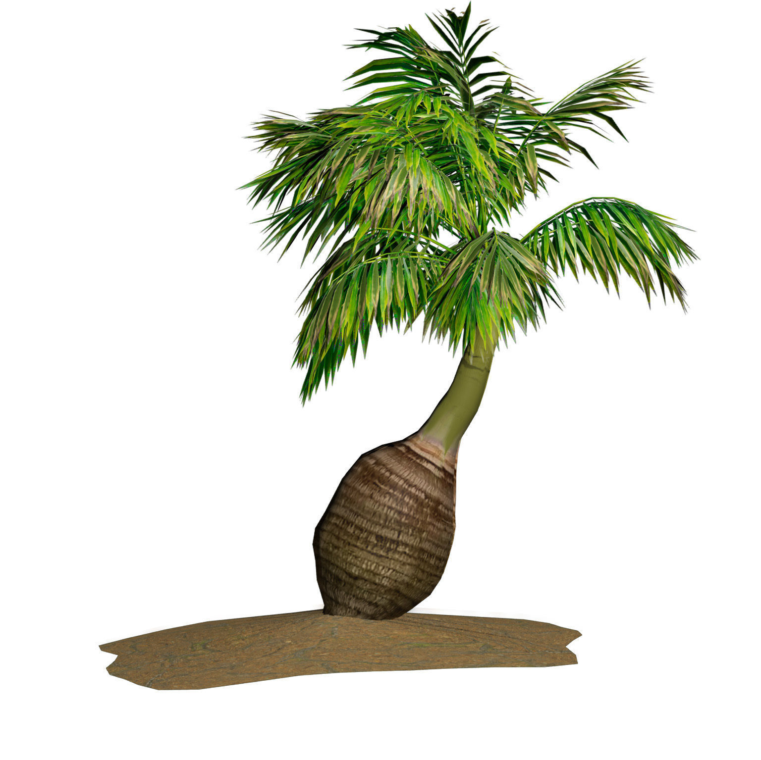 bottle palm trees 3d model Low-poly 3D model_4