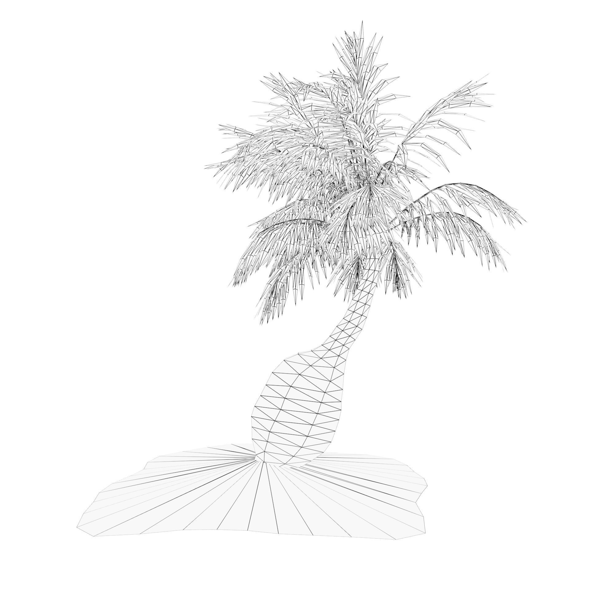 bottle palm trees 3d model Low-poly 3D model_9