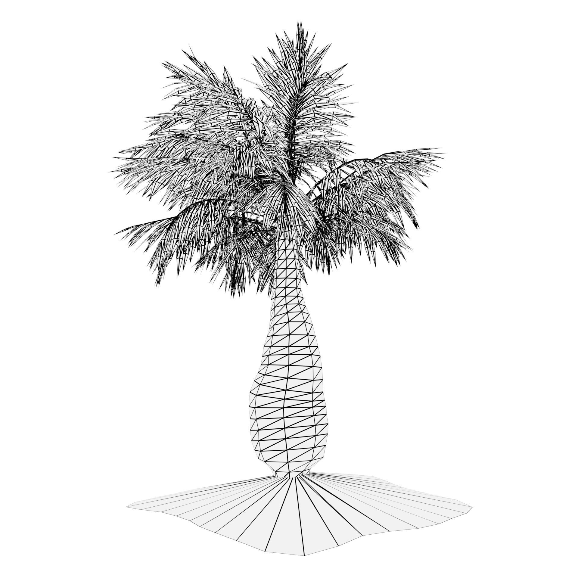 bottle palm trees 3d model Low-poly 3D model_8