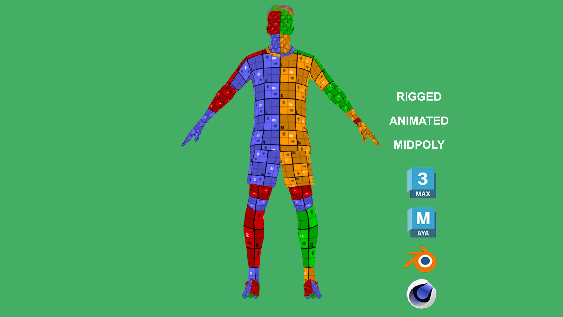 3D Rigged Marcos Reus Borussia Dortmund 2024 3D model_5