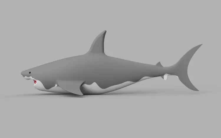 3D Printable White Shark Model Free 3D print model