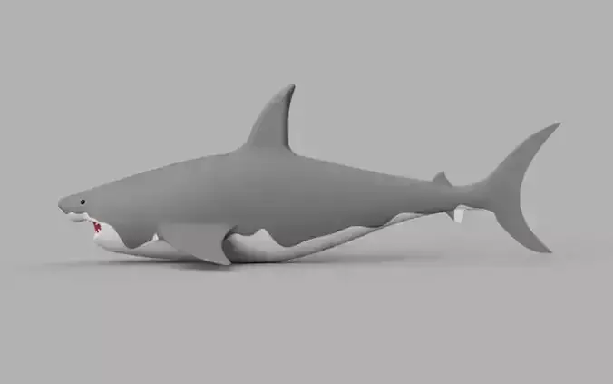 3D Printable White Shark Model