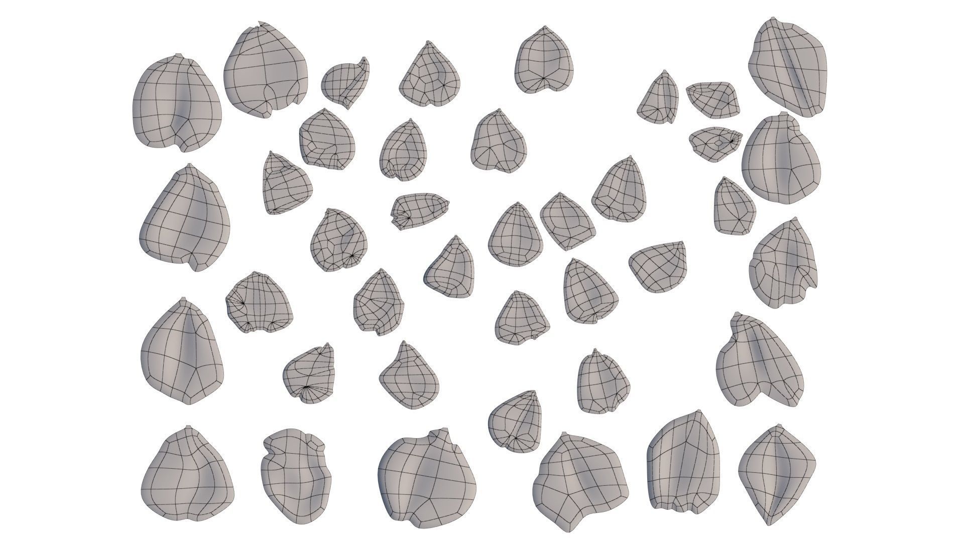 Rose Petals 3D model_17