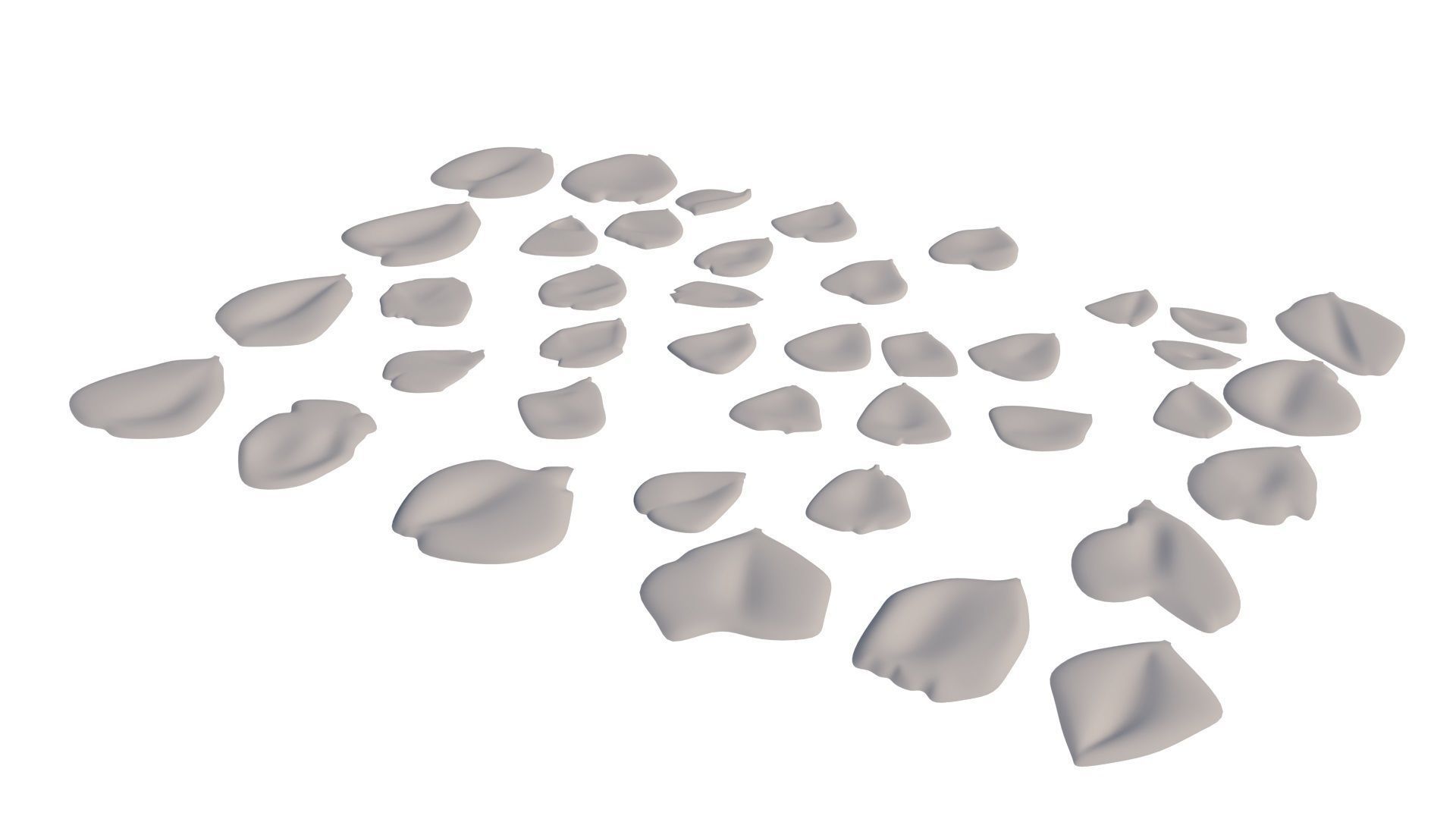 Rose Petals 3D model_18