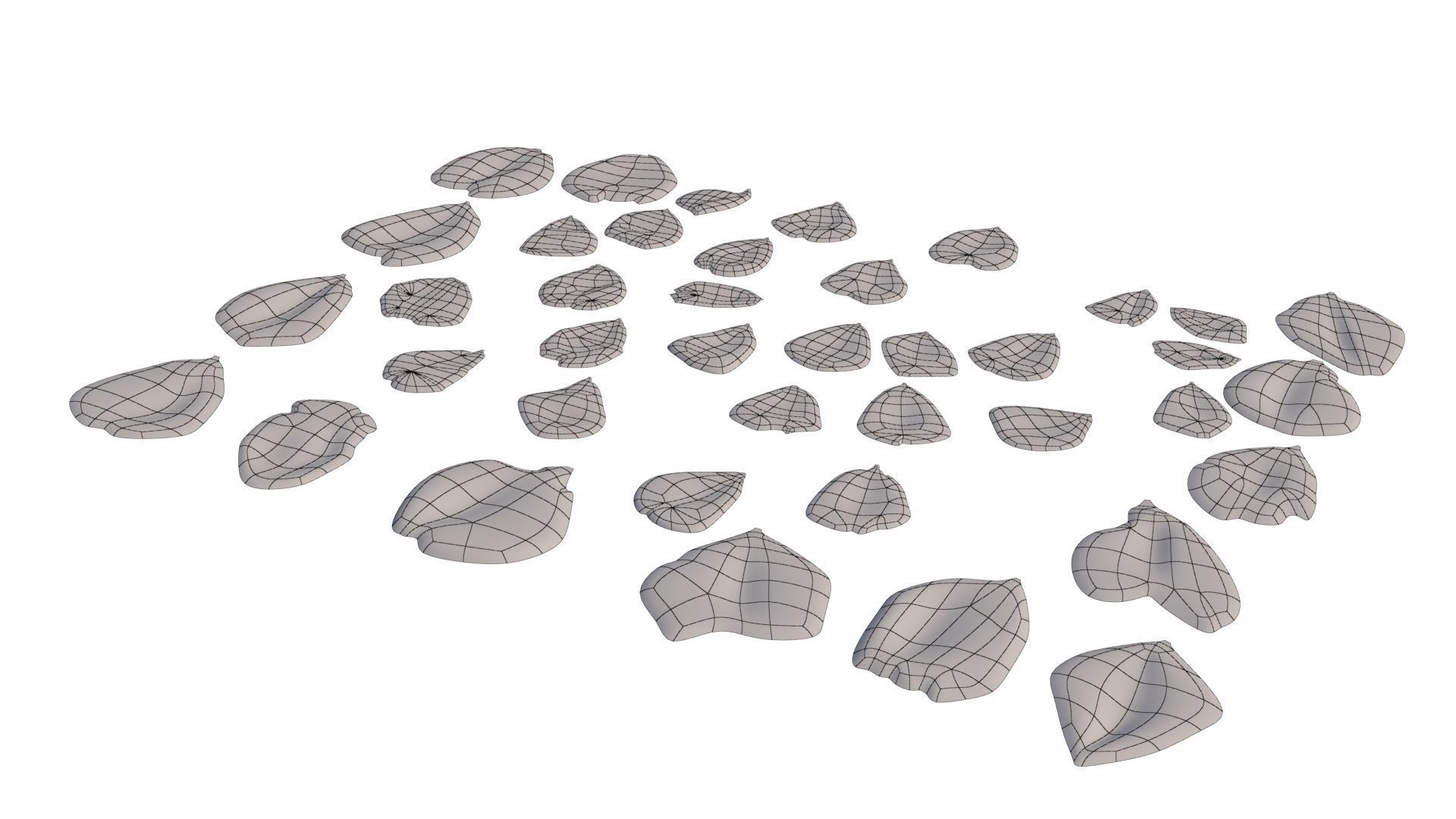 Rose Petals 3D model_19