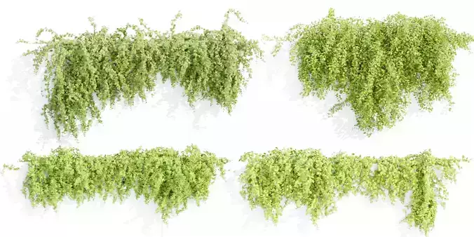 Hanging wall plants collection vol 56-Blender