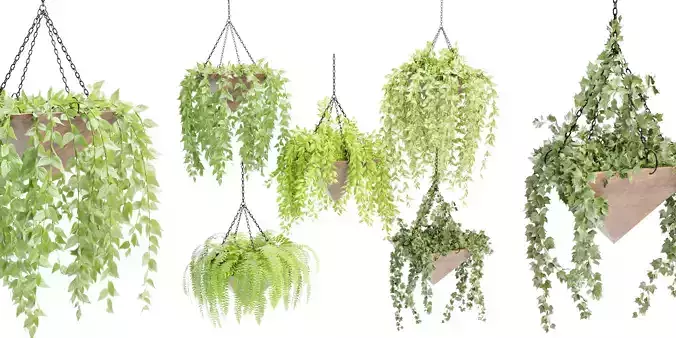 Hanging plant indoor collection vol 60-Blender 3D model