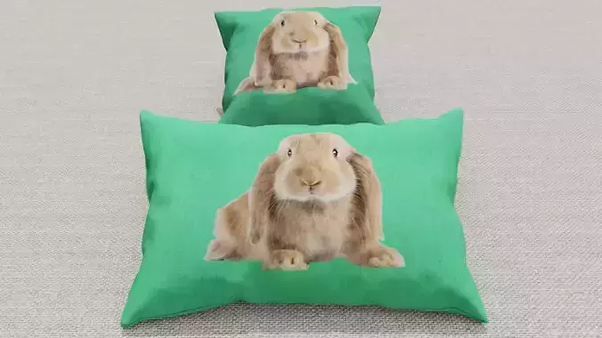 Pillows