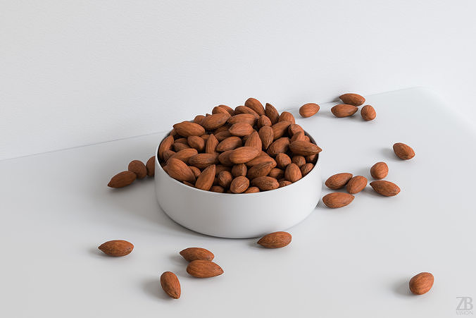 Almond 3D model