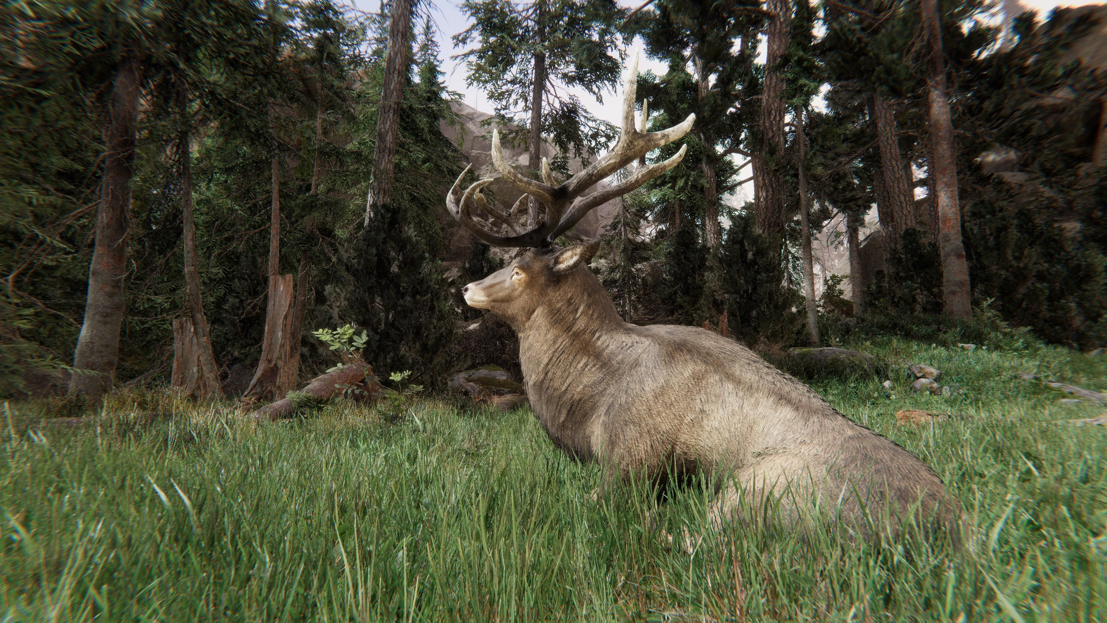 Realistic Deer-Stag Low-poly 3D model_6