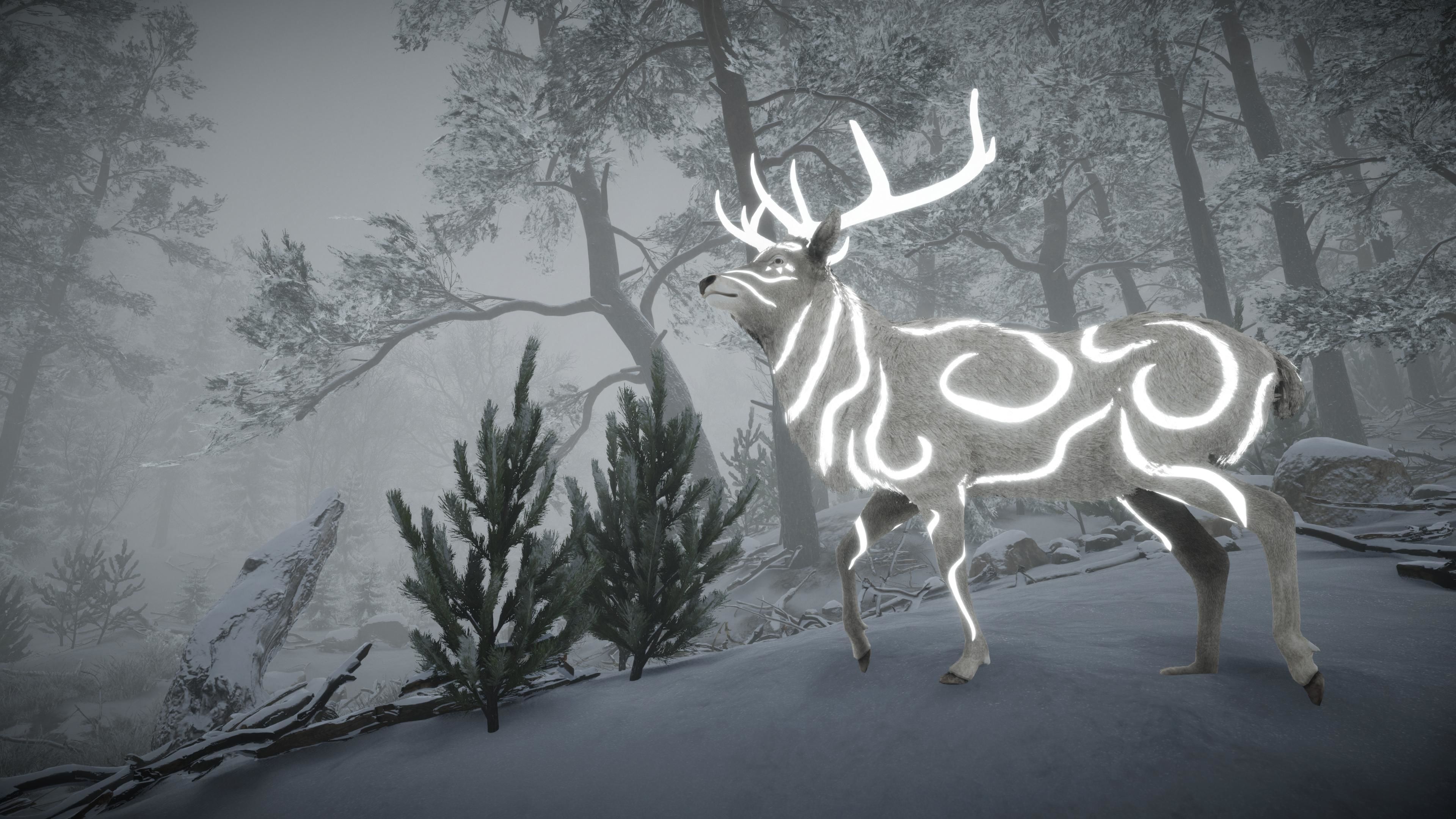 Realistic Deer-Stag Low-poly 3D model_14