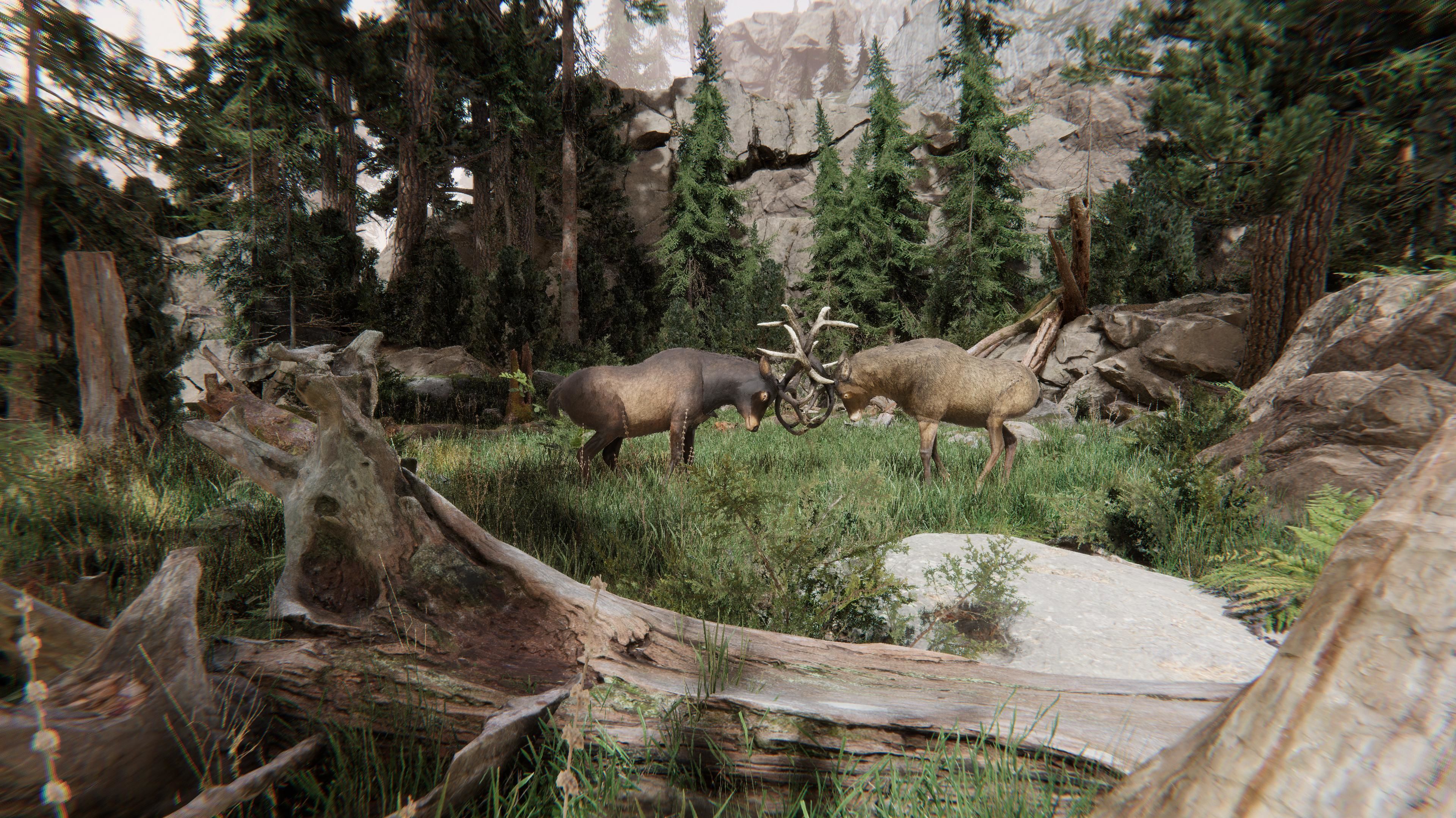 Realistic Deer-Stag Low-poly 3D model_10