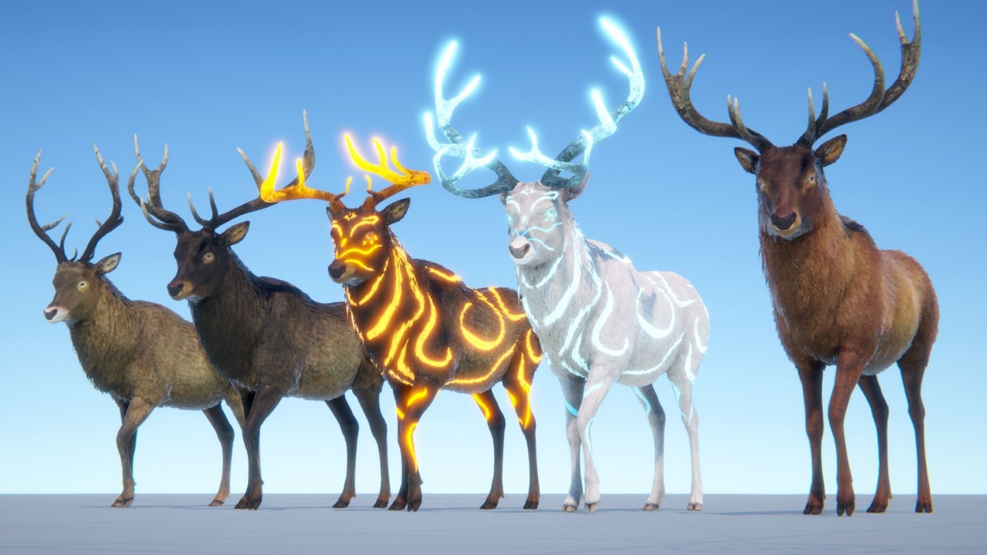 Realistic Deer-Stag Low-poly 3D model_28