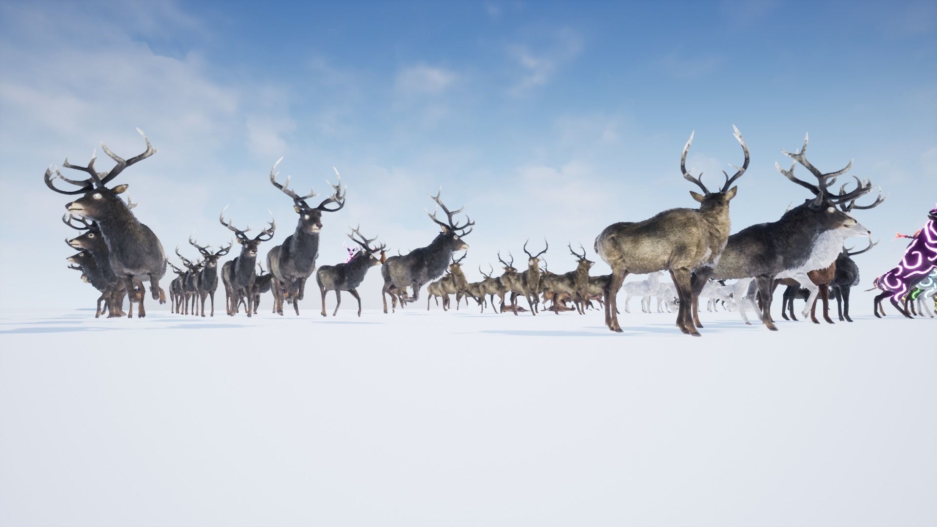 Realistic Deer-Stag Low-poly 3D model_33